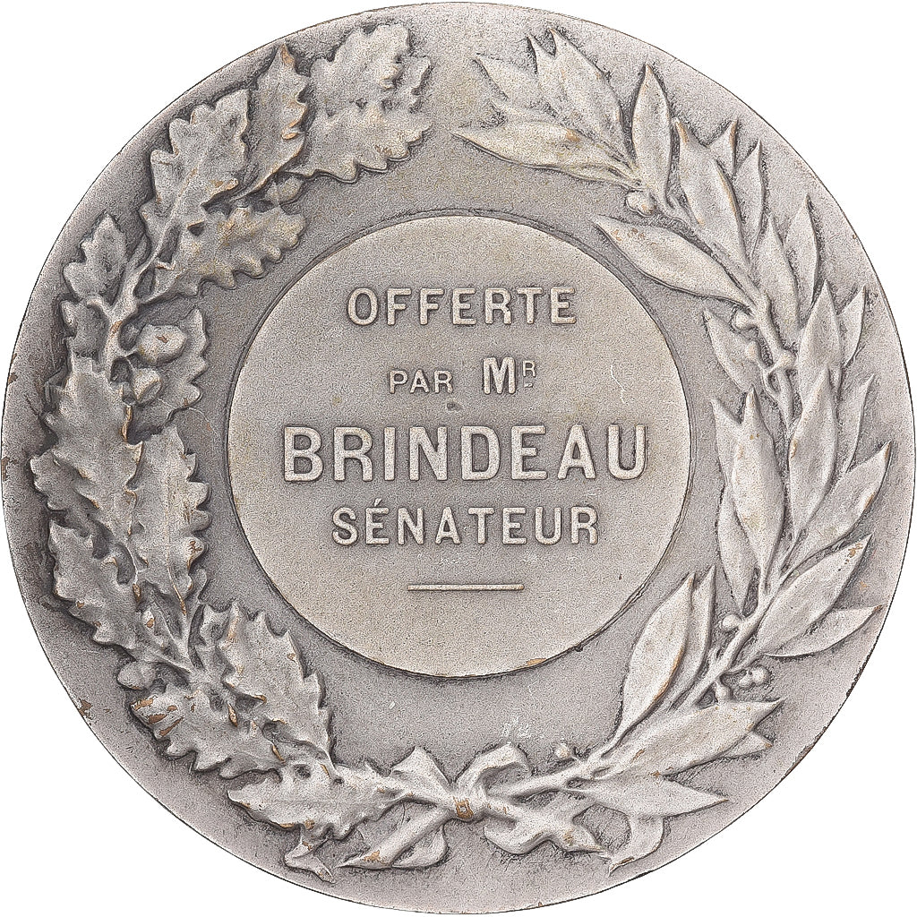 Frankrijk, Medaille, Offret par M. Brindeau, Sénateur, 1961, Silvered bronze