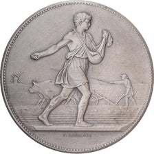 France, Médaille, Comice Agricole du Canton de Carvin (Lens), Argent, SPL