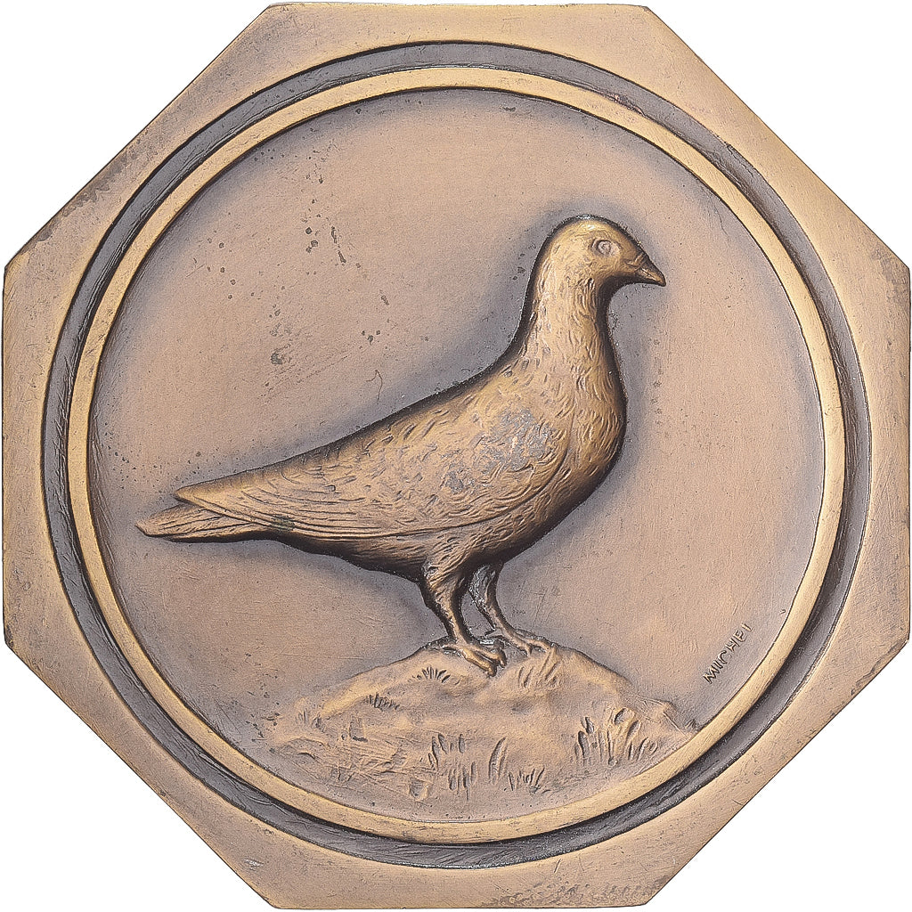 França, medalha, Concours Colombophile de Biarritz, 1937, Bronze, AU(55-58)