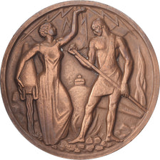 Algerije, Medaille, Electricité et Gaz d'Algérie, 1949, Bronzen, Lagriffoul