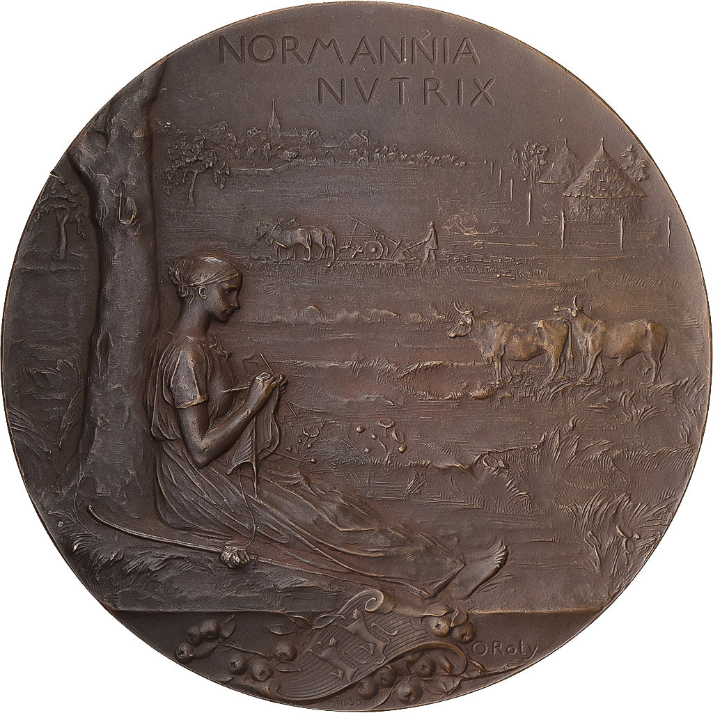 França, medalha, Exposition Nationale et Coloniale de Rouen, 1846, Bronze