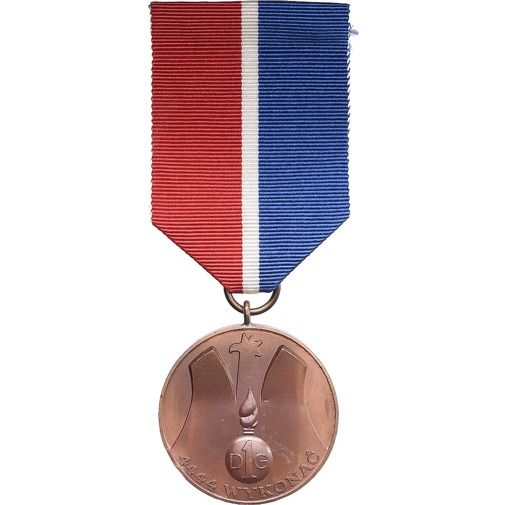 Francia, 4444 Wyconac 1st Grenadier Division France, medaglia, 1970, Fuori