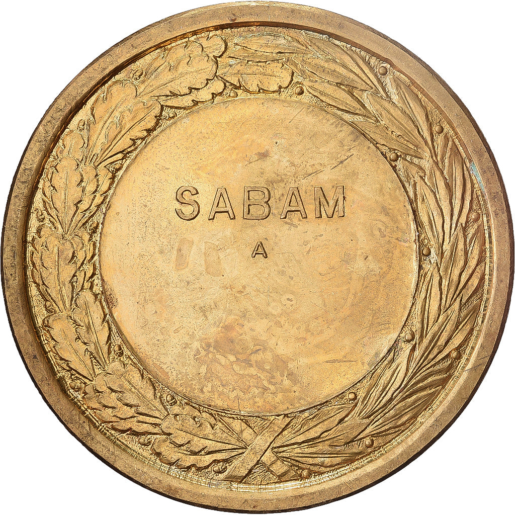 Belgien, Medaille, S.A.B.A.M, Société Belge des Auteurs, Gilt Bronze, De