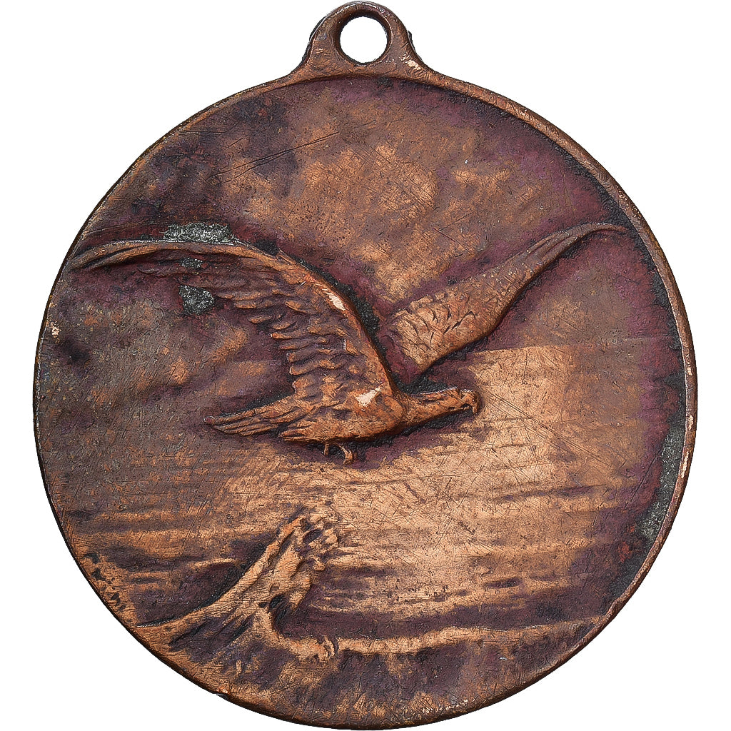 Alemania, medalla, National Flugspende, 1912, Bronce, MBC