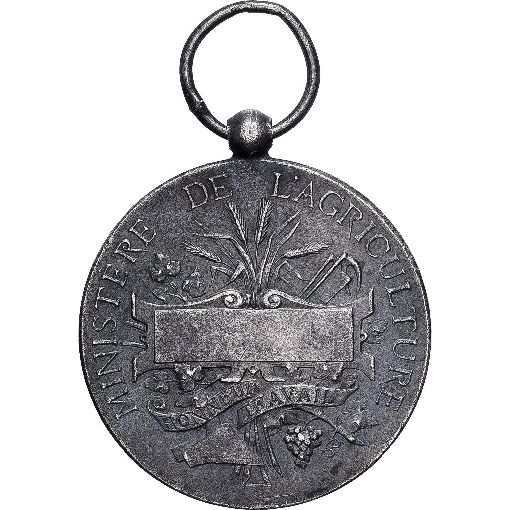 Francja, Ministère de l'Agriculture, Honneur et Travail, medal, Doskonała