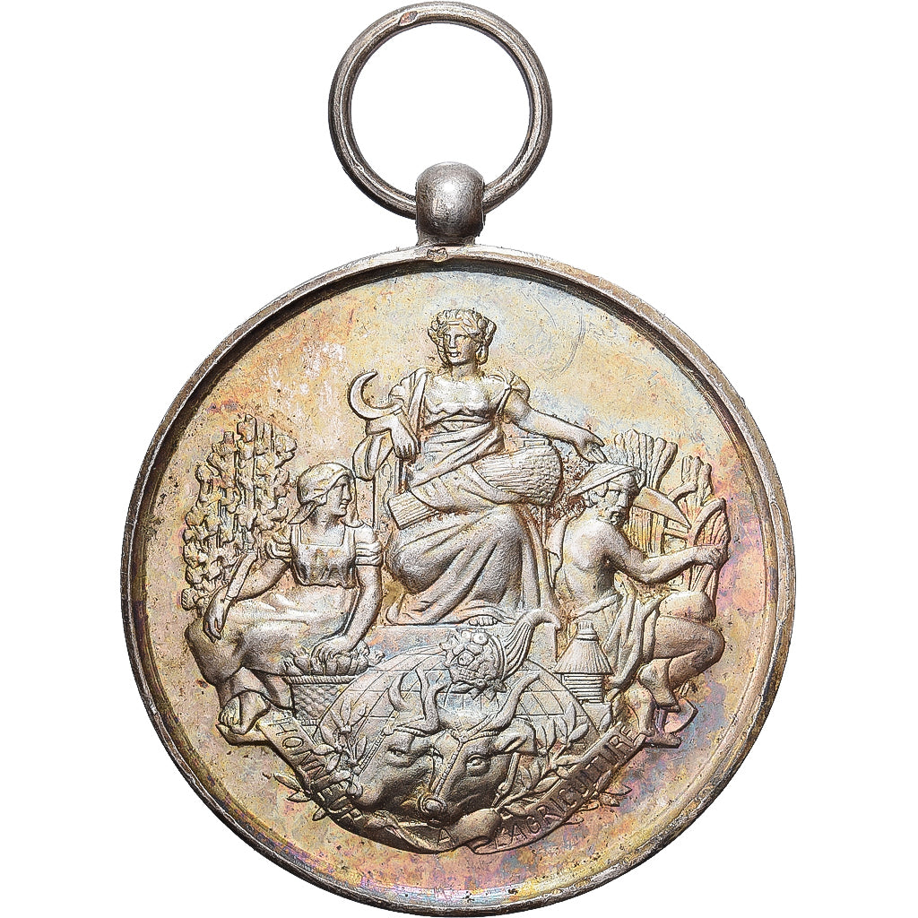 France, Médaille, Société d'Agriculture de Dunkerque, Wormhout, 1908, Argent