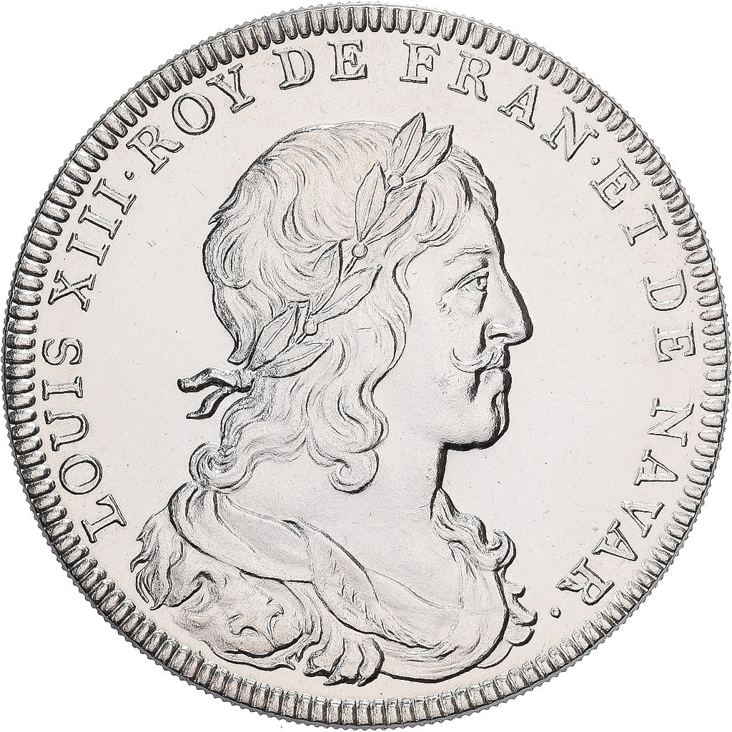 Francia, medaglia, Les rois de France, Louis XIII, Rame-nichel, SPL
