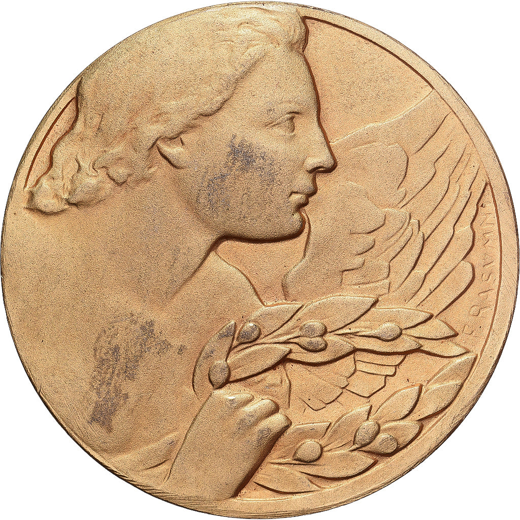 Francia, medaglia, S.N.C.F, Apprentissage M.T, 1960, Bronzo dorato, Rasumny, BB+