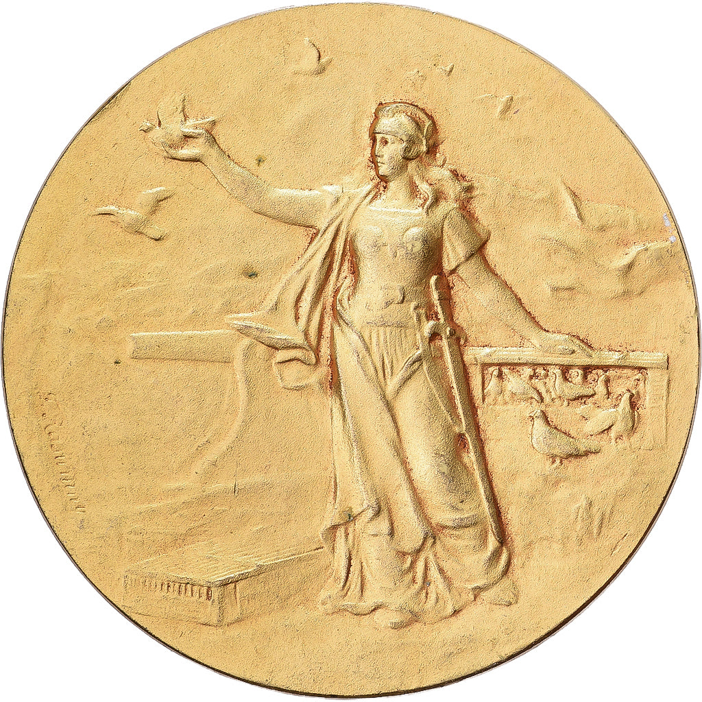 Francja, medal, Ministère de la Guerre, Communications aériennes, Pokryty