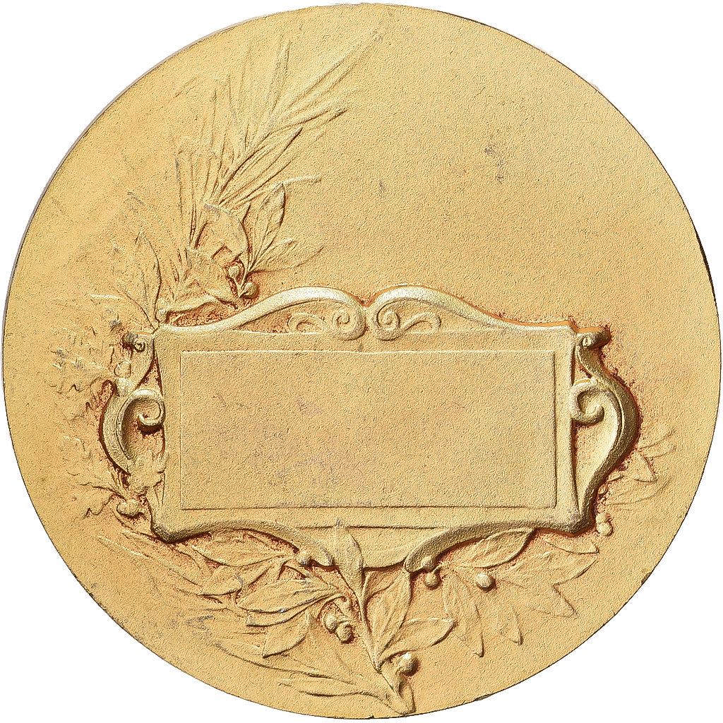 Francja, medal, Ministère de la Guerre, Communications aériennes, Pokryty
