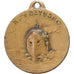 Italy, Medal, N.Volturno, Bronze, EF(40-45)