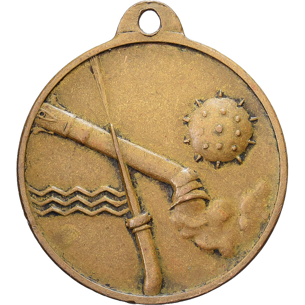 Italy, Medal, N.Volturno, Bronze, EF(40-45)