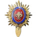 França, Insigne, Conseil Municipal de Lille, 1945, Gilt Metal, AU(55-58)