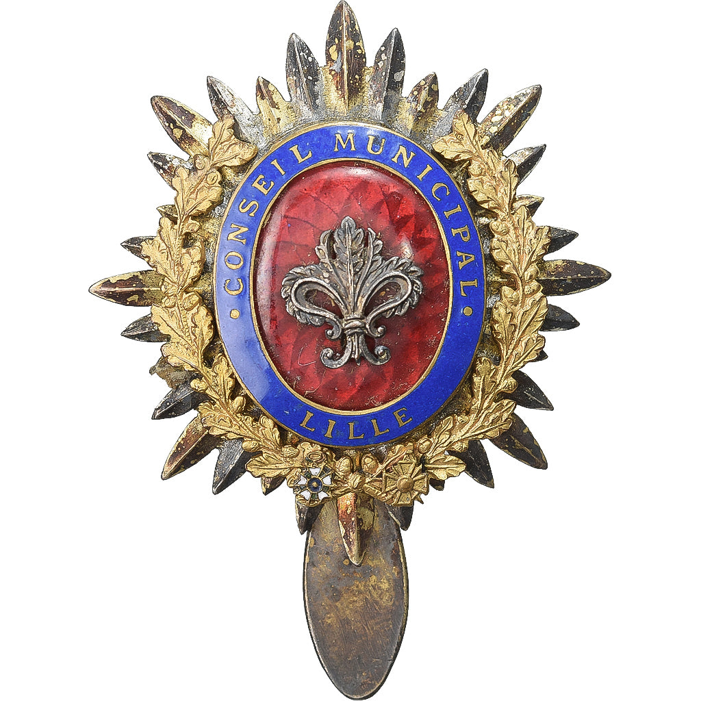 Francia, Insigne, Conseil Municipal de Lille, 1945, Gilt Metal, BB+