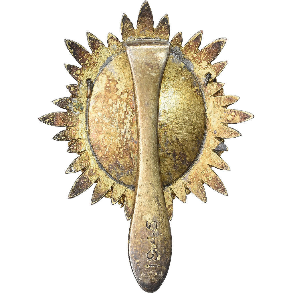 Francia, Insigne, Conseil Municipal de Lille, 1945, Gilt Metal, BB+