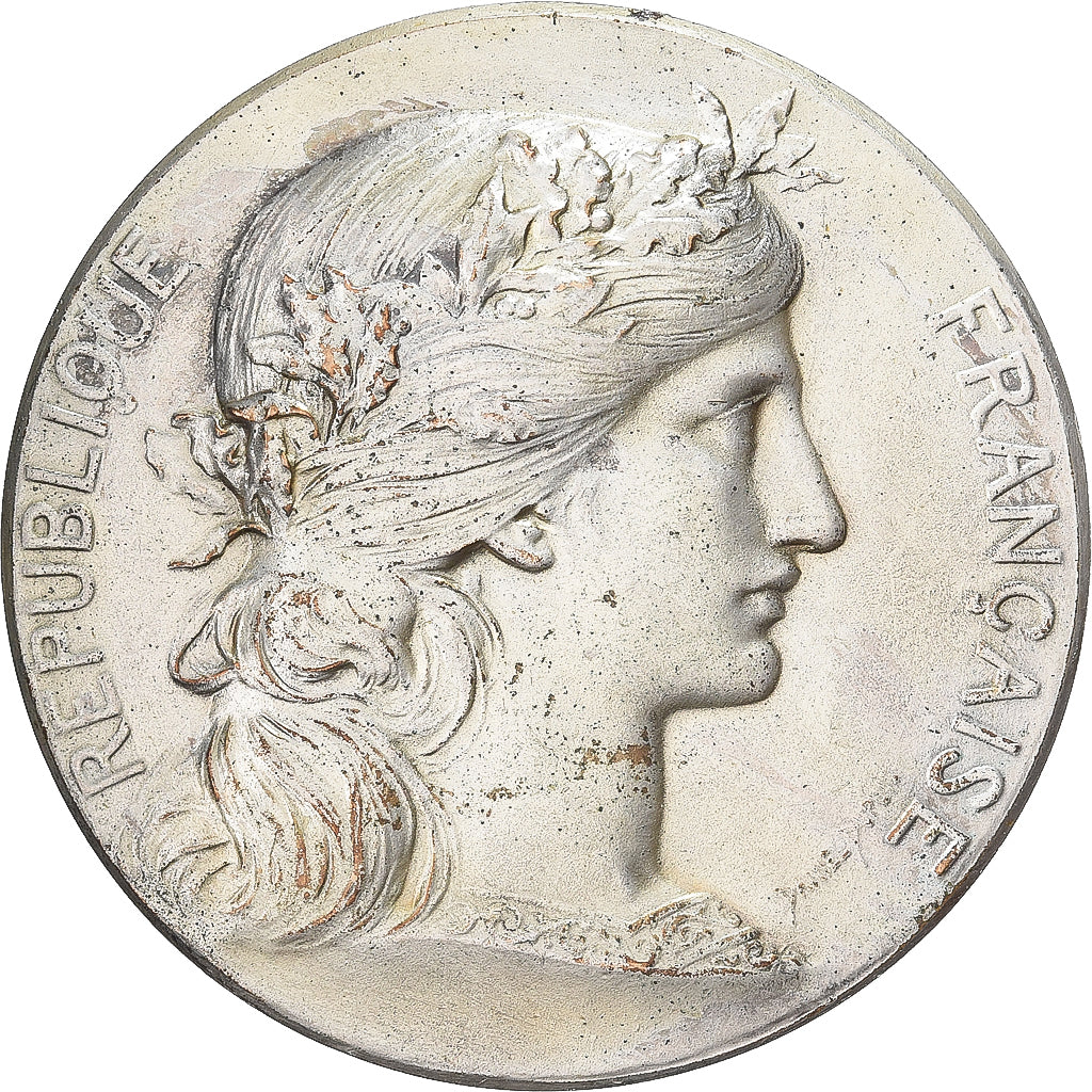 Francja, medal, Ville de Céaucé, 1909, Brąz posrebrzany, Dupuis.D, EF(40-45)