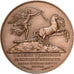 France, Médaille, Napoleon Ier , Bataille de Marengo, 1969, Bronze, SPL, Denon