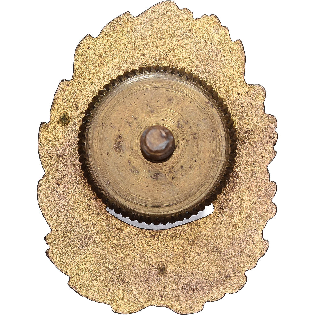 France, Les Poilus de Touraine, WAR, Insigne, Excellent Quality, Laiton, 25