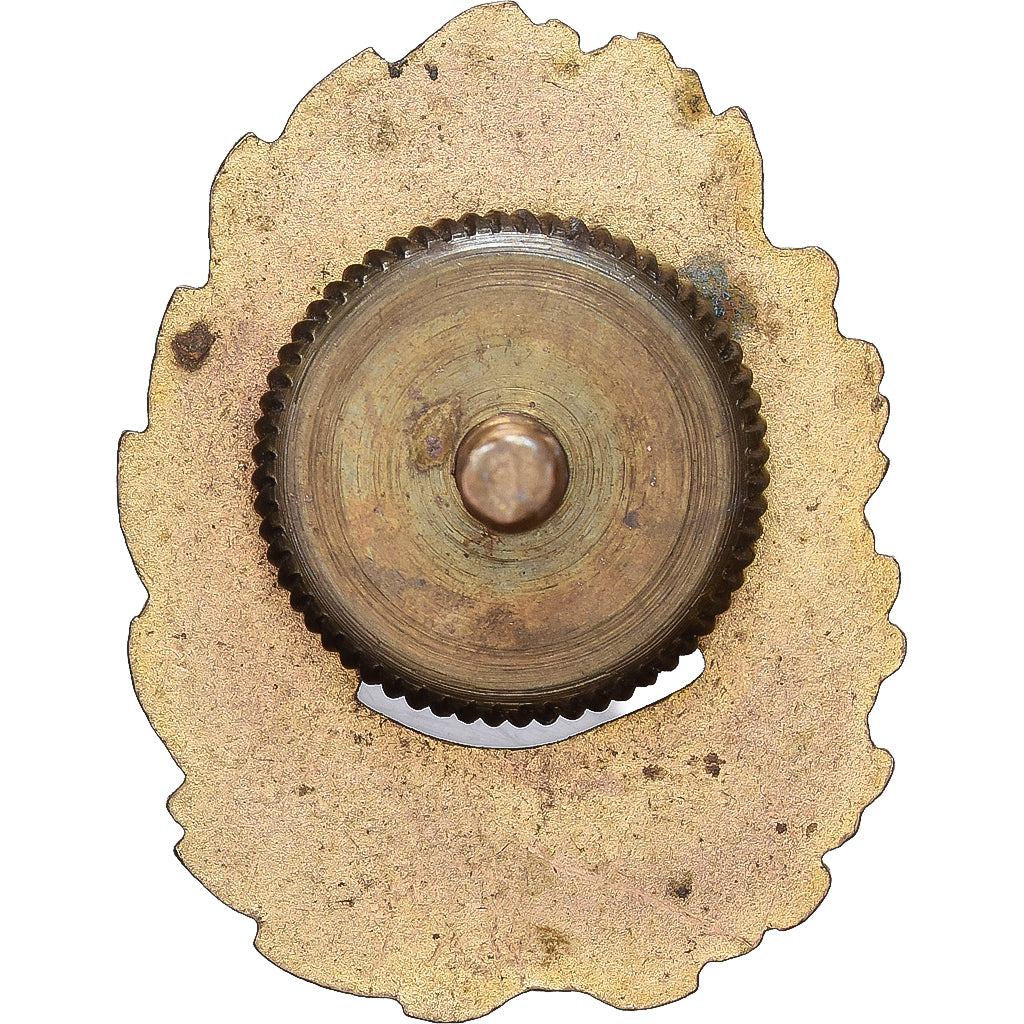 França, Les Poilus de Touraine, WAR, Insigne, Qualidade Excelente, Latão, 25