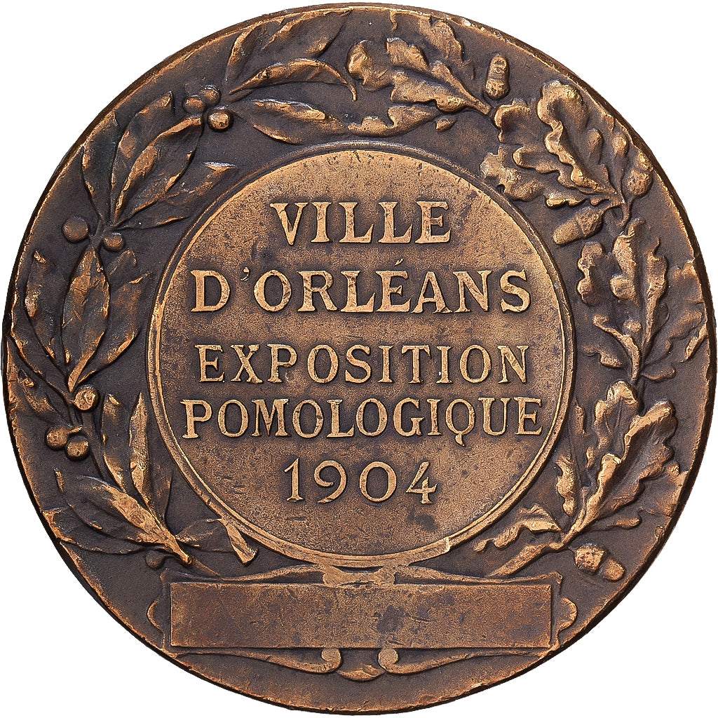 France, Medal, Exposition Pomologique, Ville d'Orléans, 1904, Bronze, EF(40-45)