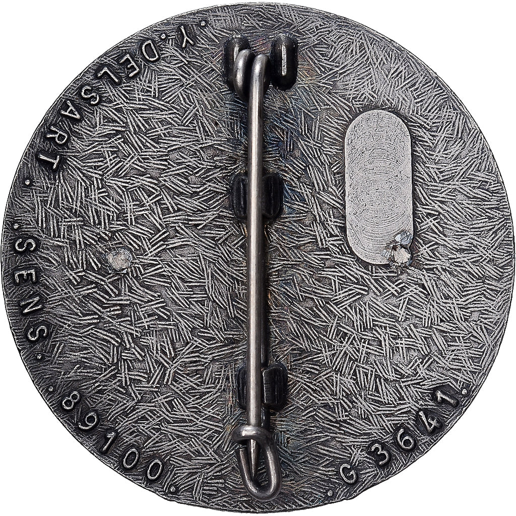 Francia, Broche, 120ème Régiment du Train, Bronzo argentato, SPL-