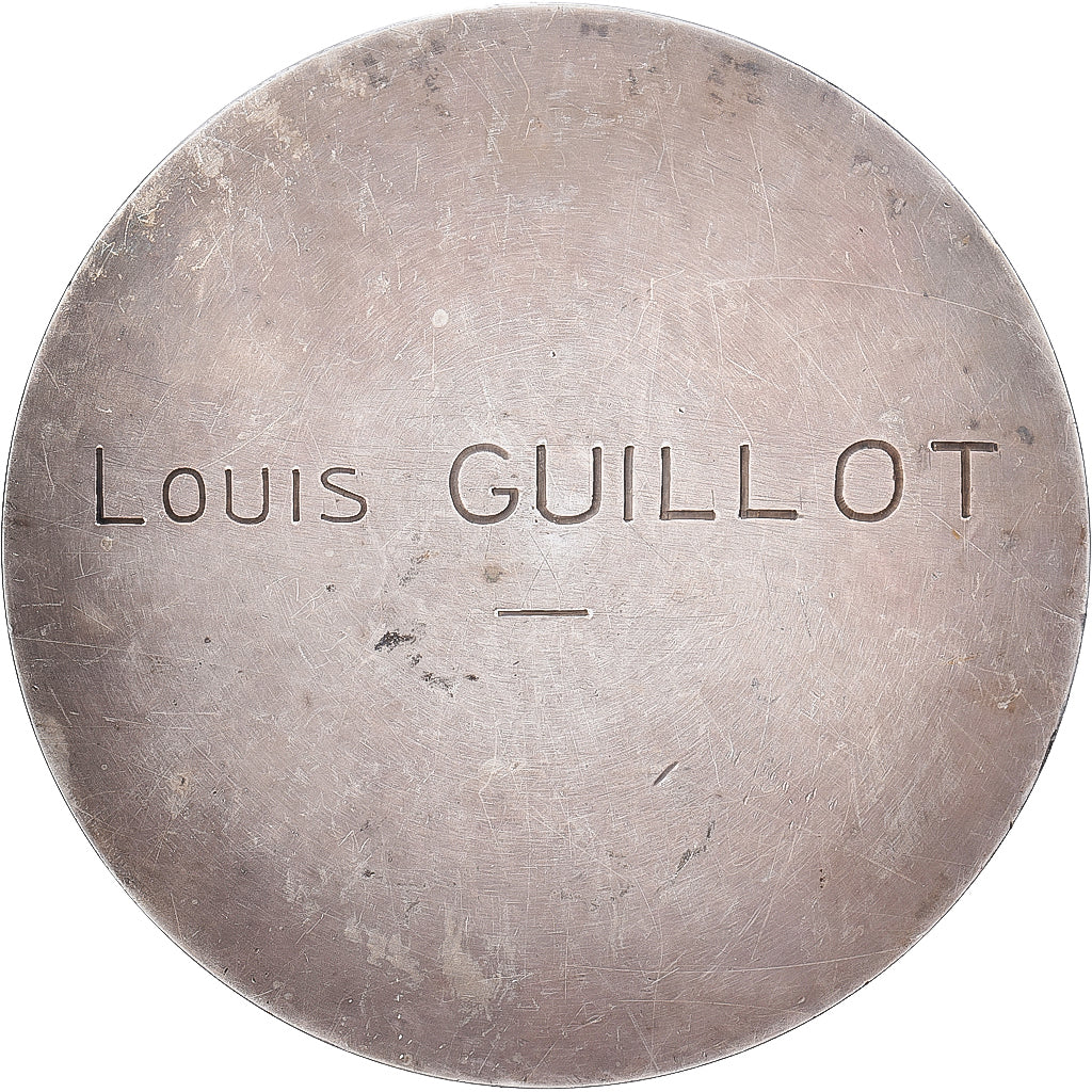 France, Medal, Raid Citroën, Mission GM-Haardt-Audouin Dubreuil, 1923, Silvered