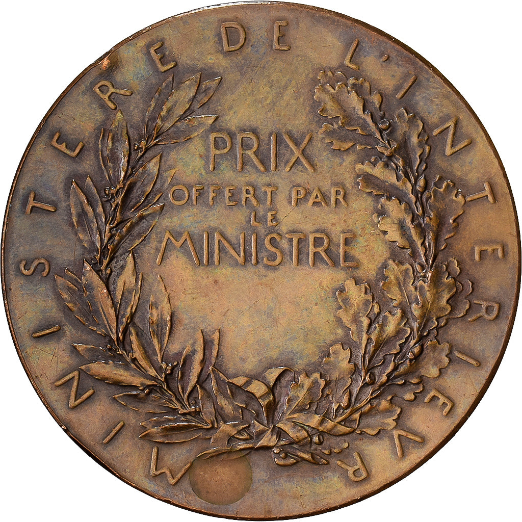Francia, medalla, Ministère de l'Intérieur, Bronce, Roty, EBC