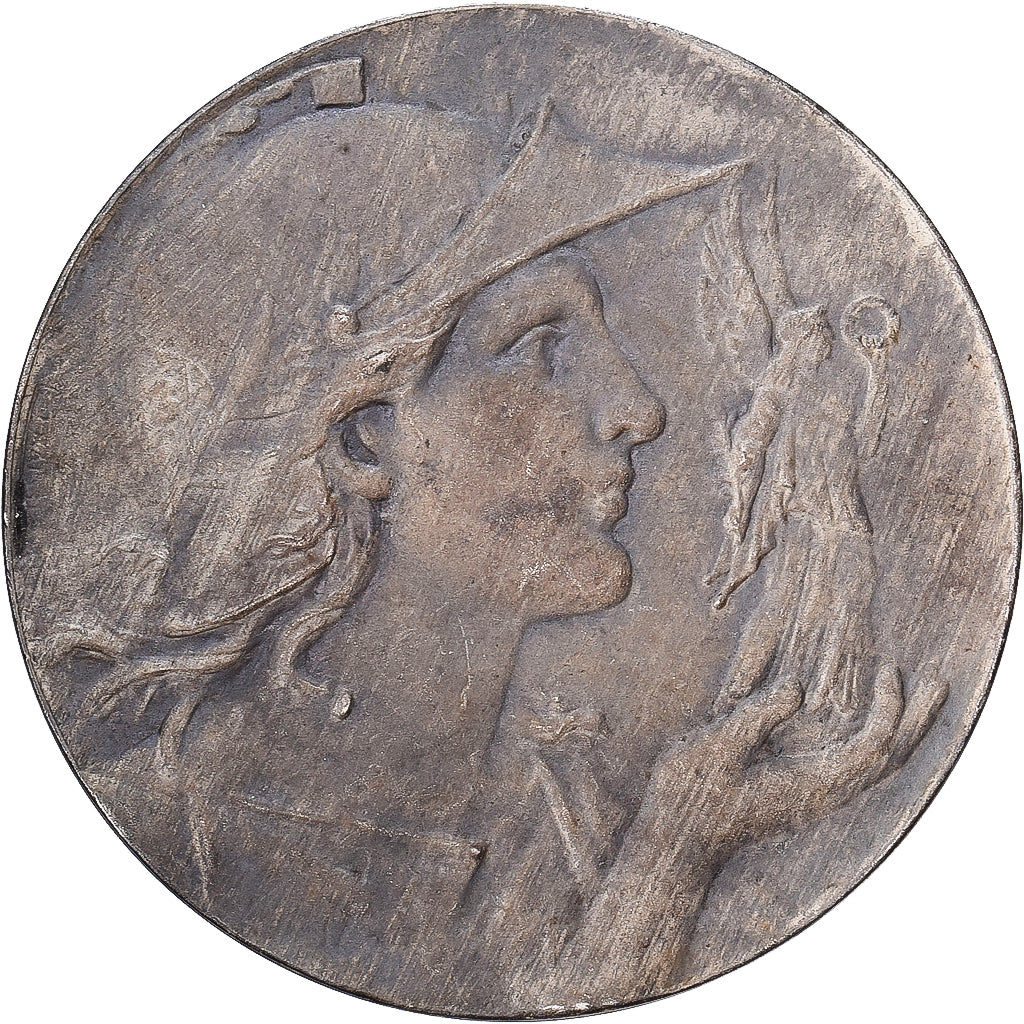France, Medal, U.V.F, Comité de l'Aisne, 1930, Silvered bronze, Fraisse