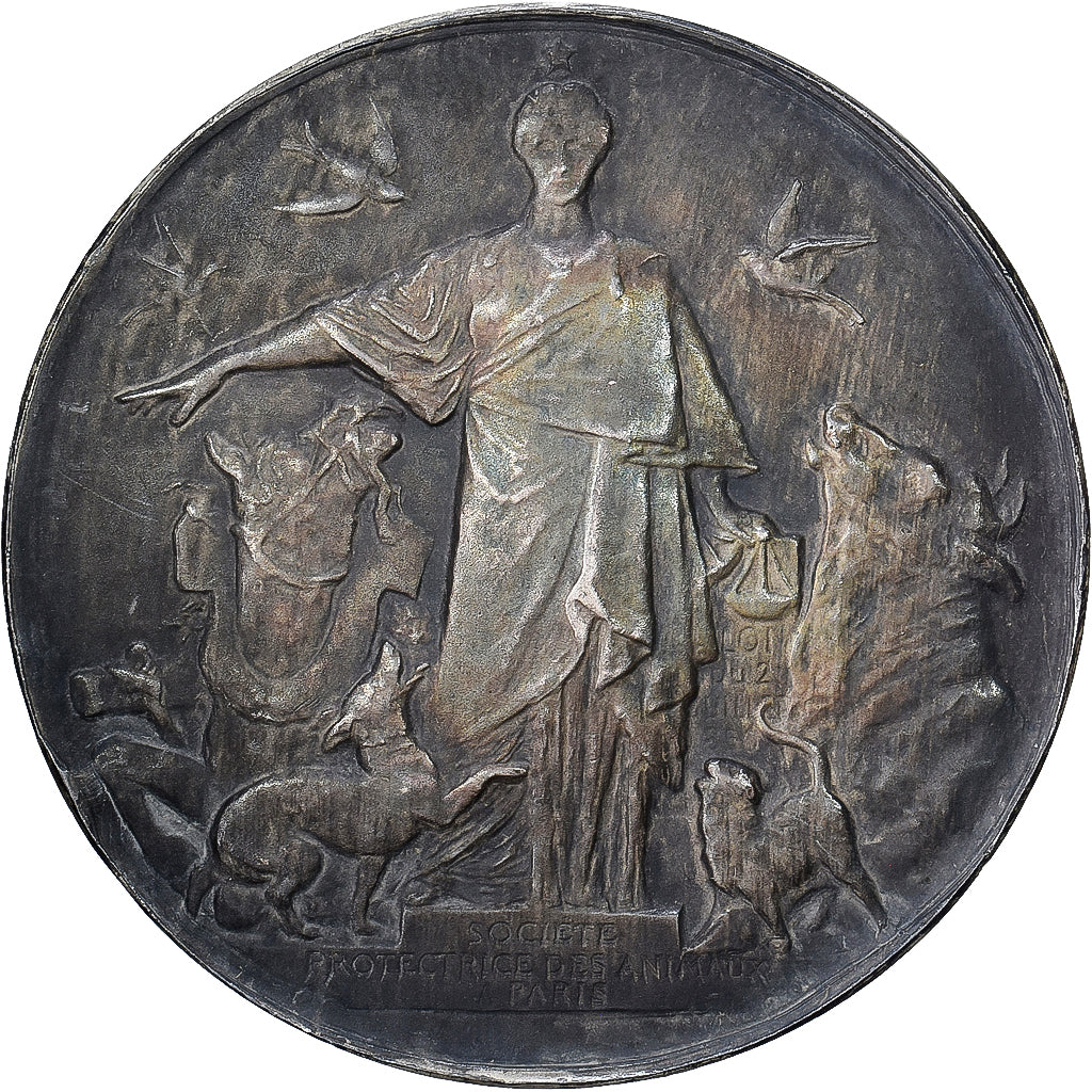 Francia, medaglia, Société Protectrice des Animaux, Paris, 1923, Argento, BB+