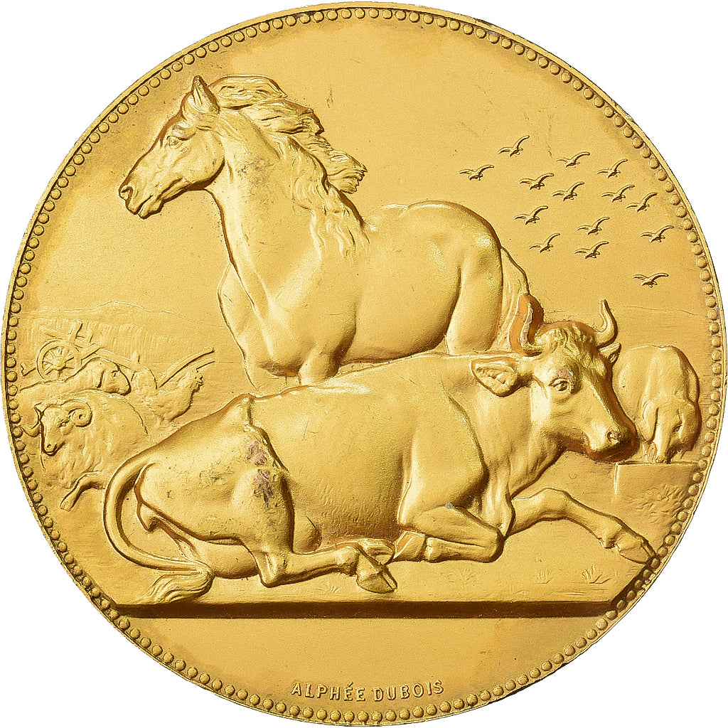 Francia, medaglia, Offert par M. De Ludre, Sénateur de l'Orne, Bronzo dorato