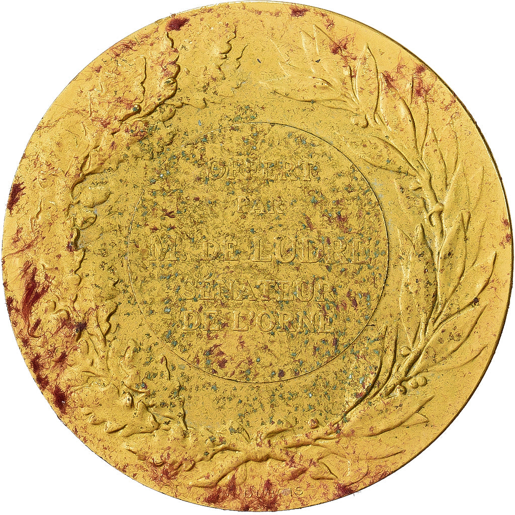 Francia, medaglia, Offert par M. De Ludre, Sénateur de l'Orne, Bronzo dorato