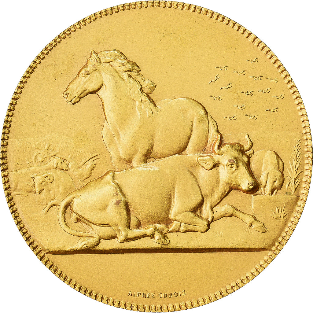 Francja, medal, Offert par M. De Ludre, Député de l'Orne, Pokryty brązem