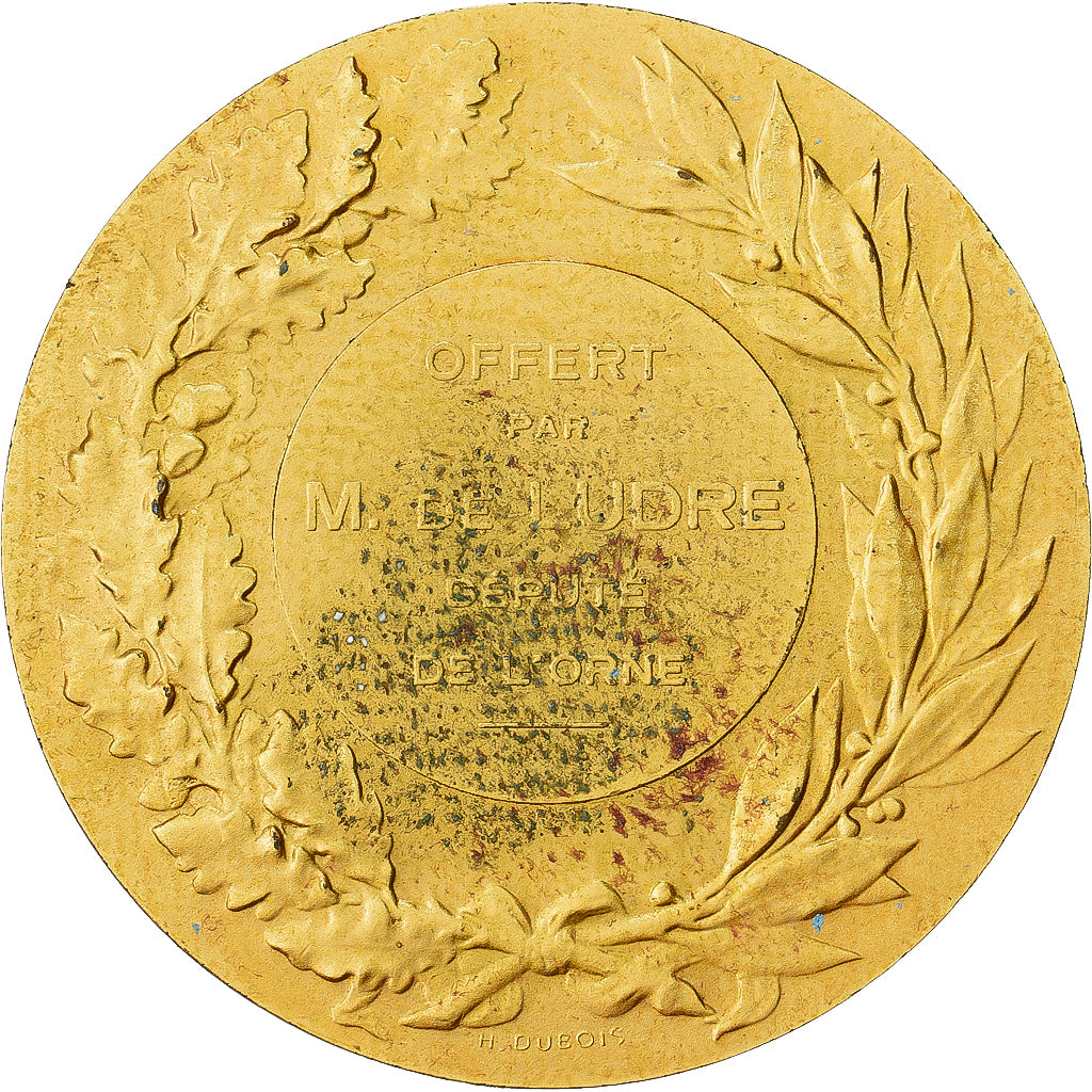 Francja, medal, Offert par M. De Ludre, Député de l'Orne, Pokryty brązem