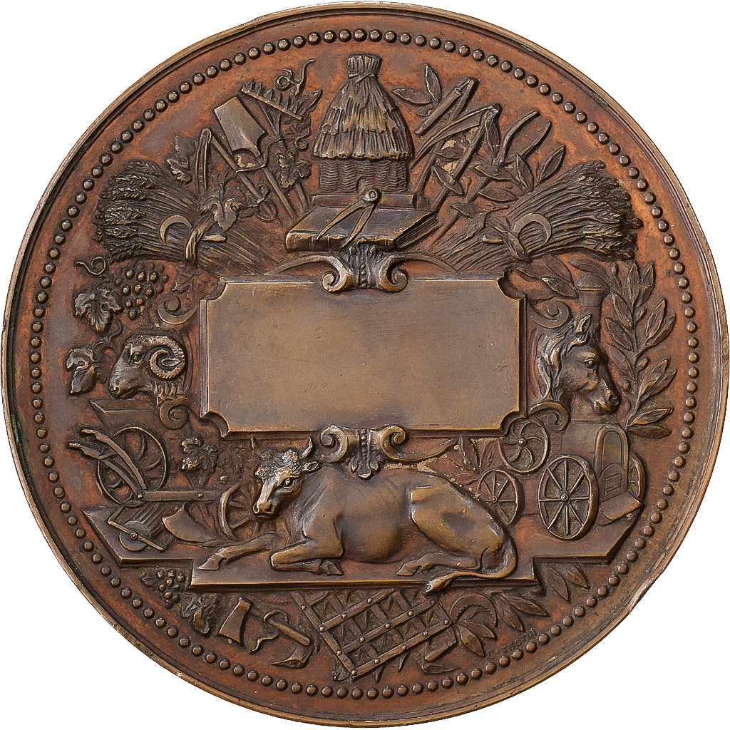 Francia, medaglia, Société des agriculteurs de France, Bronzo, Trotin, SPL-