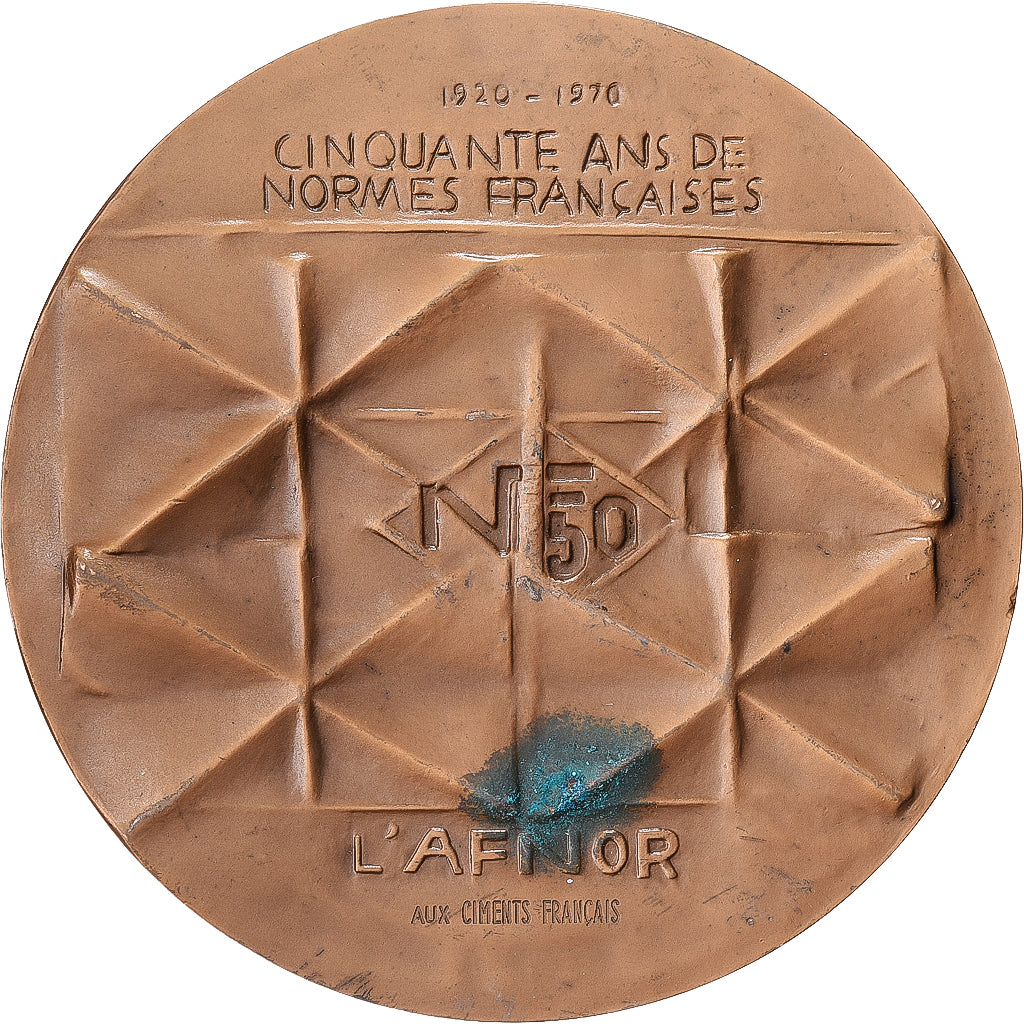 Francja, medal, 50 Ans de Normes Françaises, AFNOR, 1970, Brązowy, Holme