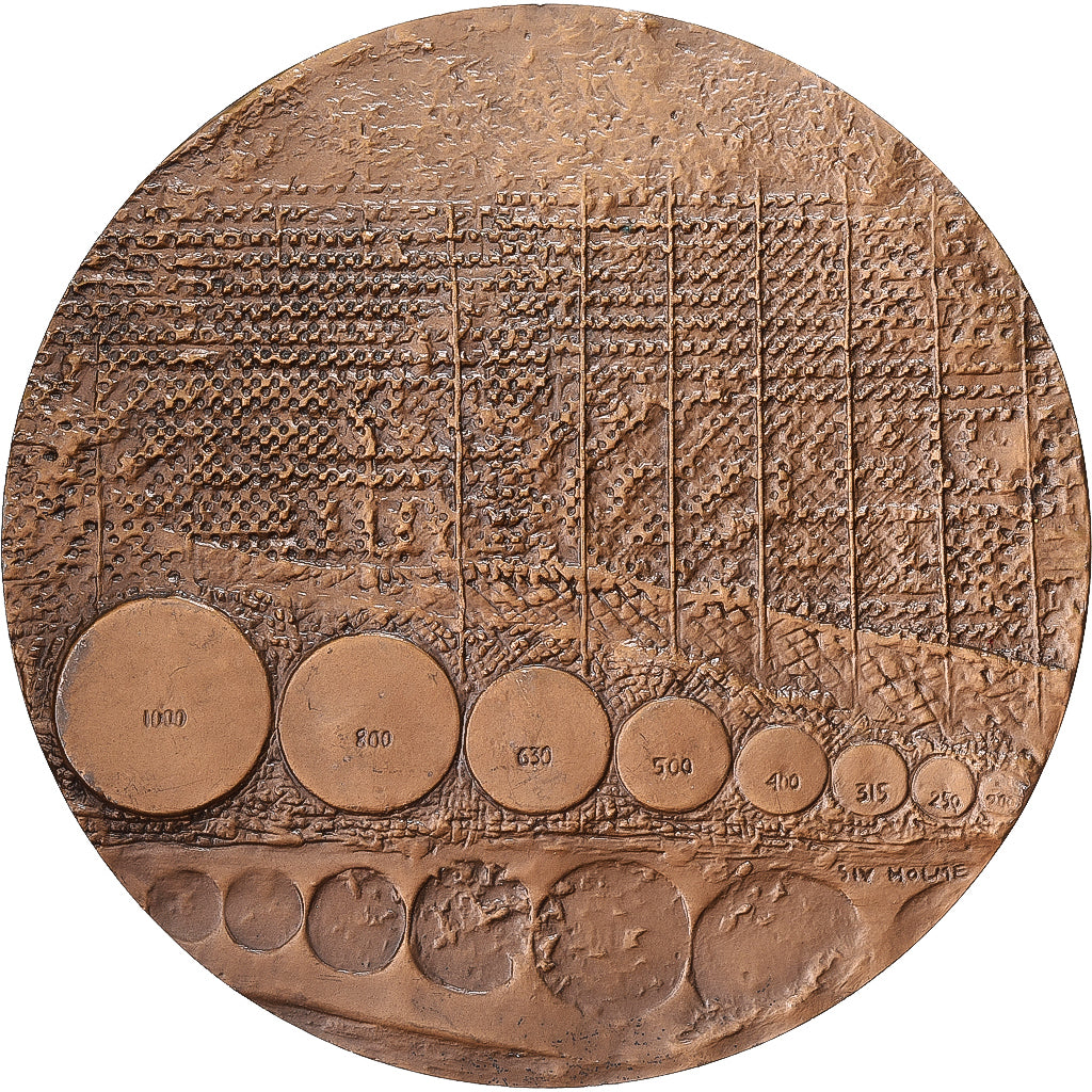 Francja, medal, 50 Ans de Normes Françaises, AFNOR, 1970, Brązowy, Holme