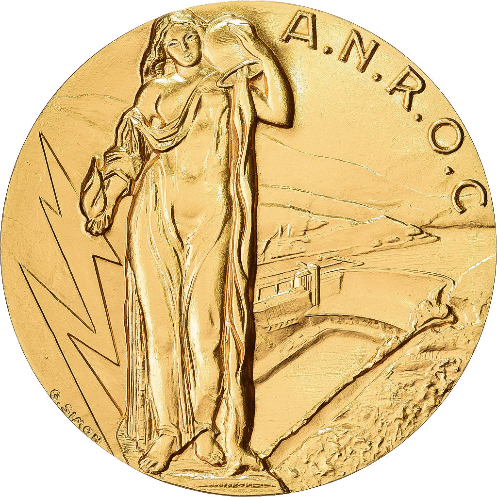 Francia, medaglia, A.N.R.O.C, 2006, Bronzo dorato, Simon, Gaz de Bordeaux, SPL