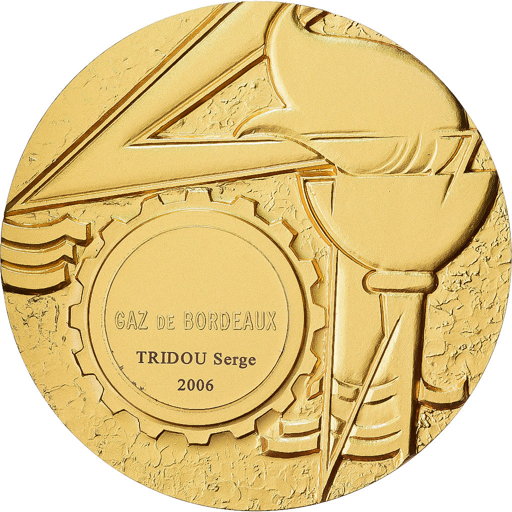 Francia, medaglia, A.N.R.O.C, 2006, Bronzo dorato, Simon, Gaz de Bordeaux, SPL