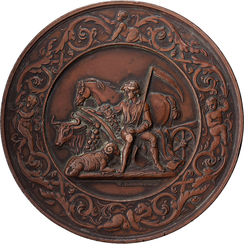 Austria, medal, Cinquantenaire de la Société d'Agriculture Impériale, Vienne