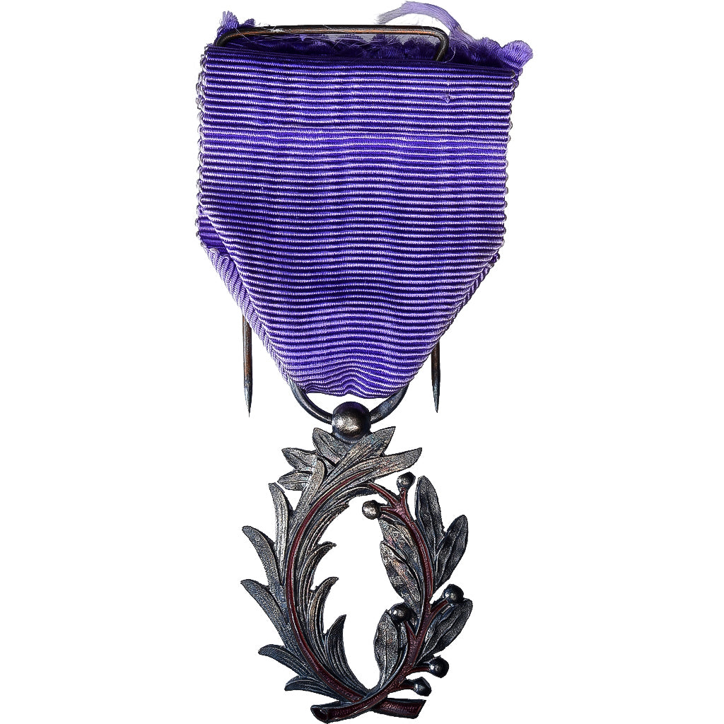 Francia, Ordre des Palmes Académiques, medalla, Muy buen estado, Bronce