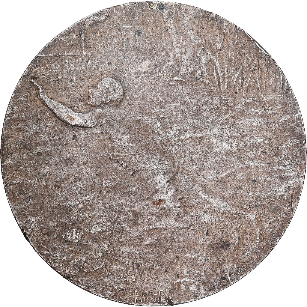 Francja, medal, L'Echo du Nord, Brąz posrebrzany, Monier, VF(30-35)