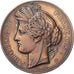 Francia, medaglia, Exposition Universelle PARIS, 1878, Bronzo, Oudiné, BB
