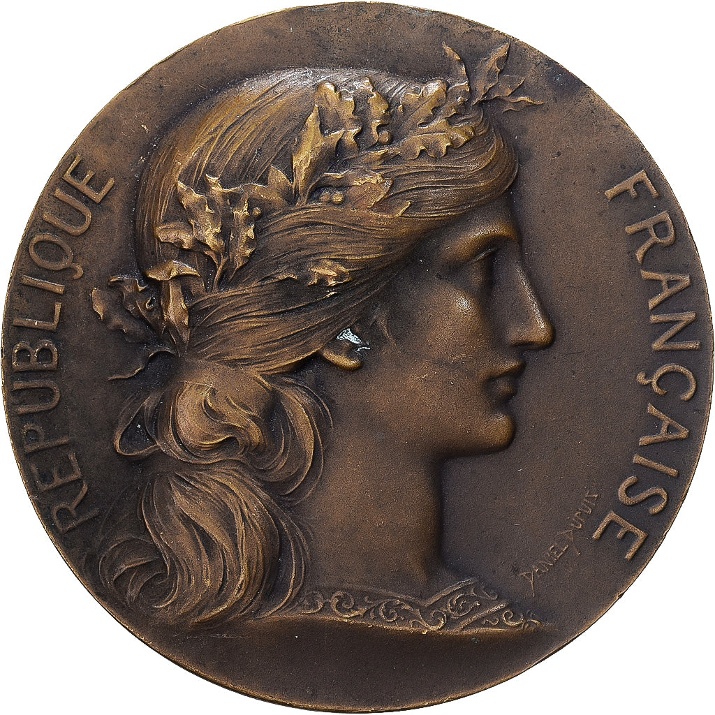 Francia, medaglia, Ville de Bordeaux, Bronzo, Dupuis.D, BB