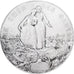 França, medalha, Bataille du Chemin des Dames, Bronze Prateado, Merot