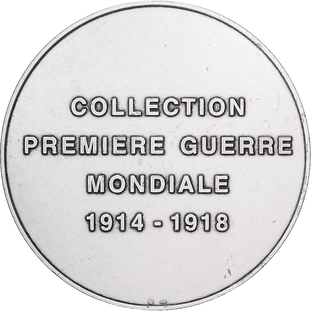 França, medalha, Bataille du Chemin des Dames, Bronze Prateado, Merot