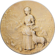 France, Medal, Société d'Agriculture de Saint Pol, 1903, Vermeil, Rasumny