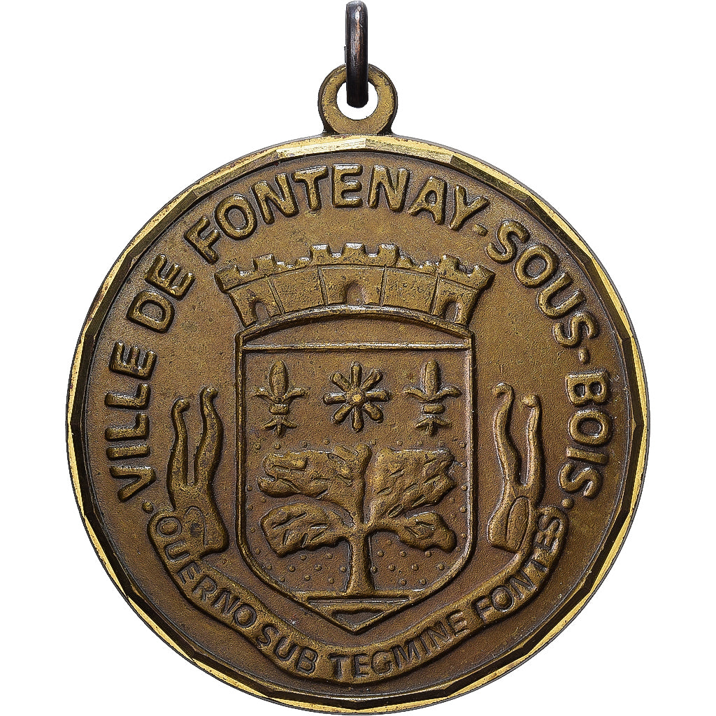 Francia, medaglia, Ville de Fontenay-sous-Bois, 1987, Ottone, BB