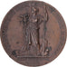 Francia, medalla, Abus des Boissons Alcooliques, Société de Tempérance, 1875
