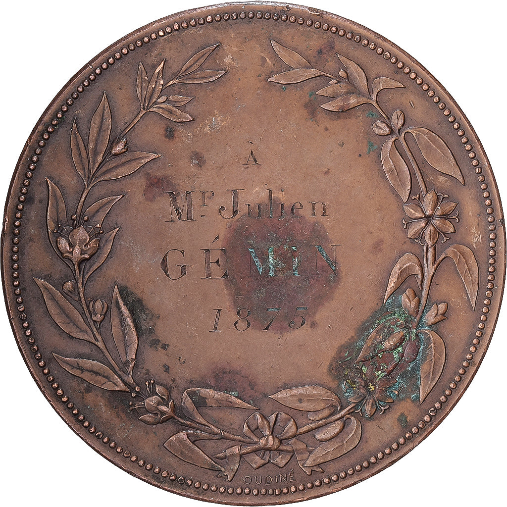 Francia, medalla, Abus des Boissons Alcooliques, Société de Tempérance, 1875