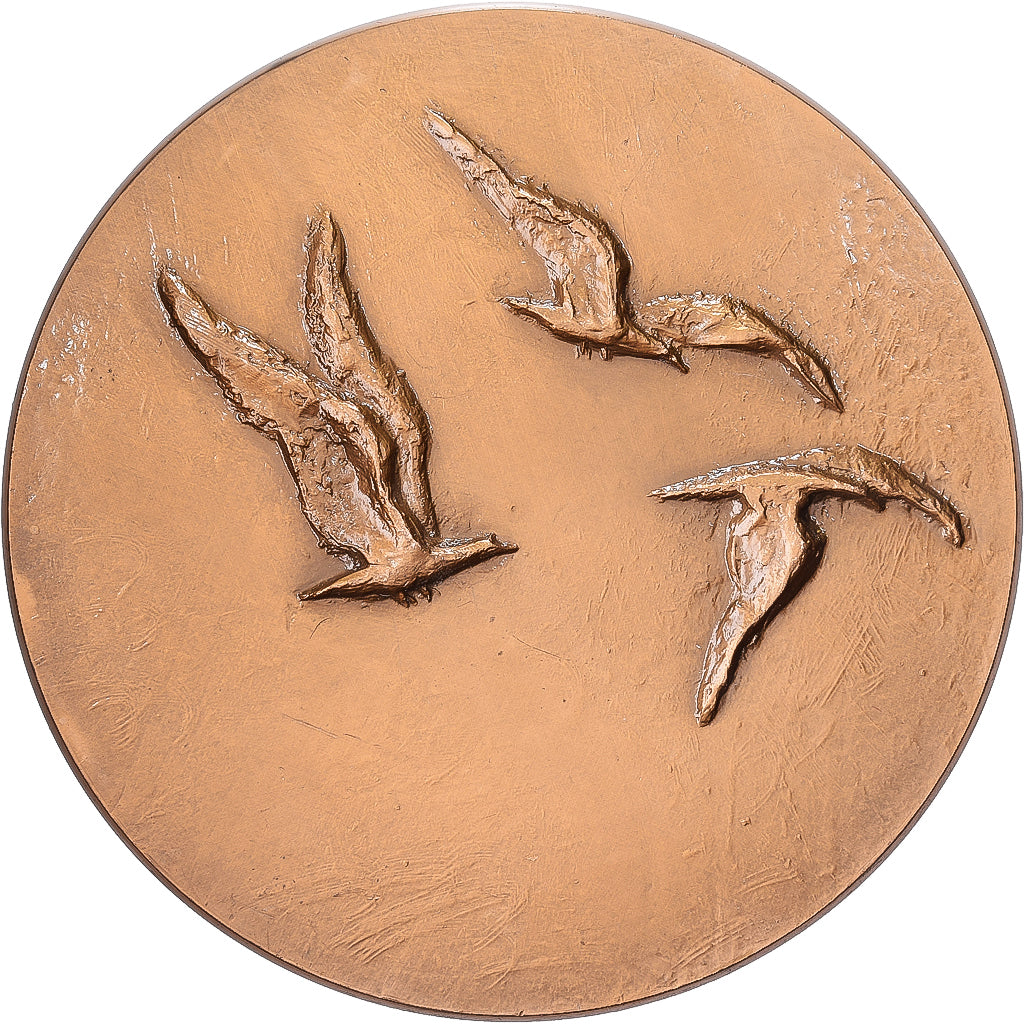 Francia, medaglia, La voile, 1983, Bronzo, Hubert Yencesse, SPL-